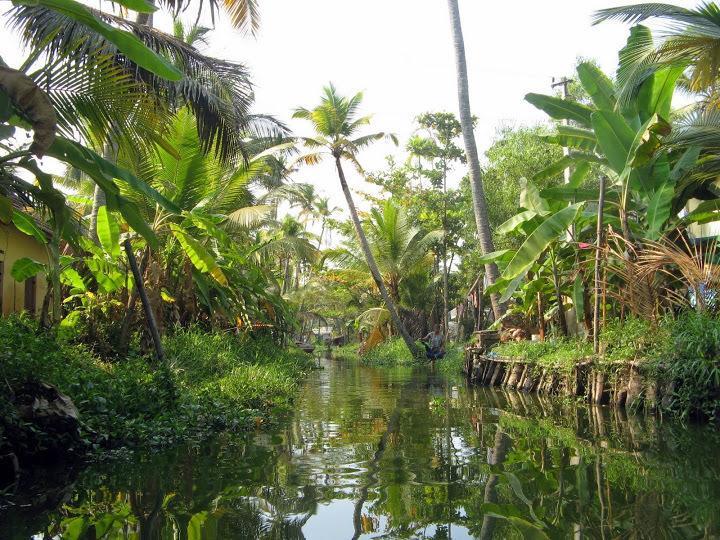 Alapatt Homestay Alappuzha ภายนอก รูปภาพ